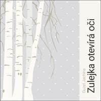 Audiokniha Zulejka otevírá oči (CD) - Guzel Jachina, Lukáš Hlavica