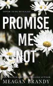 Promise Me Not - Brandy Meagan