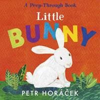 Little Bunny - Petr Horacek, Walker Books 1