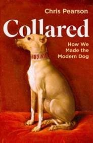 Collared - Chris Pearson, Profile Books Ltd 1
