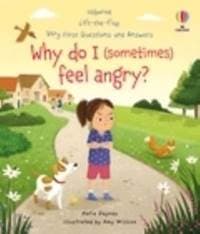 Very First Questions and Answers: Why do I (sometimes) feel angry? - Katie Daynes, Usborne Publishing