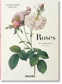 Redoute. Roses - autor neuvedený