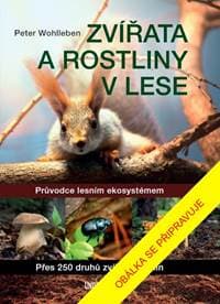 Zvířata a rostliny v lese - Wohlleben Peter