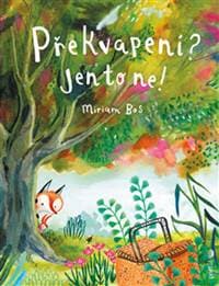 Překvapení? Jen to ne! - Miriam Bos 1