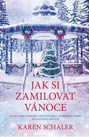 Vánoce v Shelter Inn - RaeAnne Thayne 1