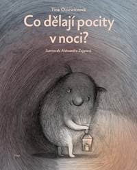 Co dělají pocity v noci? - Oziewiczová Tina 1