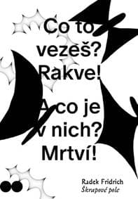 Škrapové pole - Fridrich Radek 1