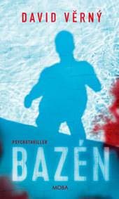 Bazén - David Věrný 1