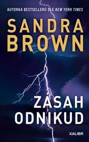 Zásah odnikud - Brown Sandra 1