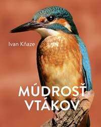 Múdrosť vtákov - Kňaze Ivan 1