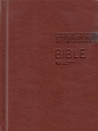 Bible 1293 hnědá - autor neuvedený 1