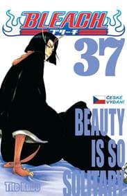Bleach 37: Beauty Is So Solitary - Kubo Tite 1