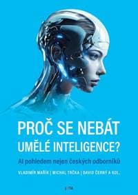 Proč se nebát umělé inteligence? - Mařík a kol. Vladimír