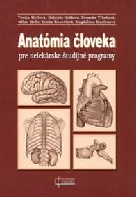 Anatómia človeka pre nelekárske študijné odbory (3.vydanie) - kolektiv 1