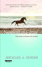 Nespoutaná duše - Vaše cesta za hranice - Singer Michael A.