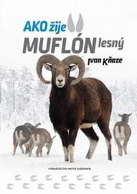 Ako žije muflón lesný - Kňaze Ivan