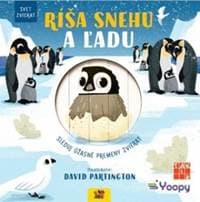 Ríša snehu a ľadu - svet zvierat - Kolektív autorov