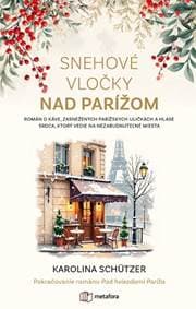 Snehové vločky nad Parížom - Karolina Schutzer 1