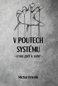 V poutech systému - Michal Drienik