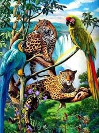 Diamantové malování Papoušci a leopardi 30x40cm - autor neuvedený 1