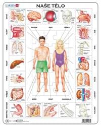 Puzzle 35 Naše tělo deskové - autor neuvedený 1