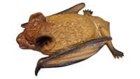 Netopier gumový 12cm