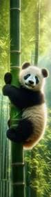 3D záložka - Panda AI - autor neuvedený 1