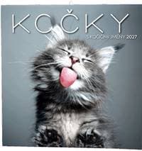 Kočky 2027 - nástěnný kalendář - autor neuvedený
