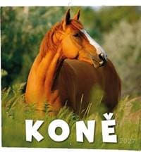 Koně 2027 - nástěnný kalendář - autor neuvedený
