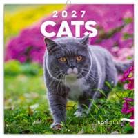 Poznámkový kalendář Kočky 2027 - nástěnný kalendář - autor neuvedený