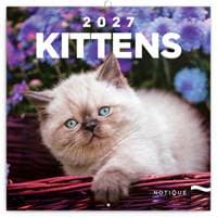 Poznámkový kalendář Koťata 2027 - nástěnný kalendář - autor neuvedený 1