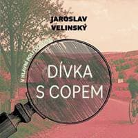Dívka s copem - Jaroslav Velinský, Libor Hruška