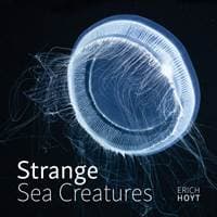 Strange Sea Creatures - Erich Hoyt, Firefly Books Ltd