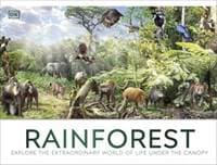 Rainforest - DK, Dorling Kindersley Ltd 1