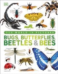 Our World in Pictures Bugs, Butterflies, Beetles and Bees - DK, Dorling Kindersley Ltd