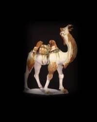 Silk Roads - Sue Brunning, Luk Yu-ping, Elisabeth R. O’Connell, Tim Williams, British Museum Press