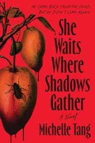 She Waits Where Shadows Gather - Michelle Tang, Sourcebooks, Inc 1