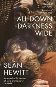 All Down Darkness Wide - Sean Hewitt, Vintage Publishing