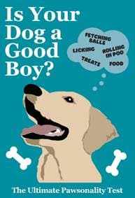 Is Your Dog A Good Boy - Pop Press, Ebury Publishing 1