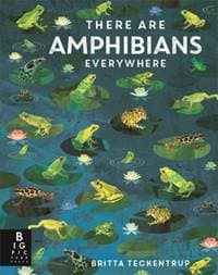 There Are Amphibians Everywhere - Camilla de la Bedoyere, Templar Books 1
