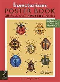 Insectarium Poster Book - Dave Goulson, Bonnier Books Ltd