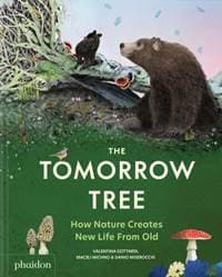The Tomorrow Tree - Maciej Michno, Danio Miserocchi, Phaidon Press Ltd 1
