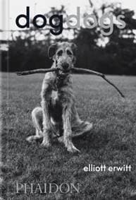 DogDogs - autor neuvedený 1