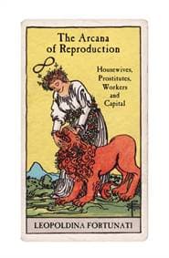 The Arcana of Reproduction - Leopoldina Fortunati, Verso Books 1