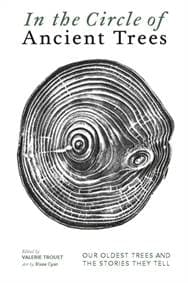 In The Circle of Ancient Trees - autor neuvedený