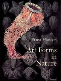 Art Forms in Nature - autor neuvedený 1