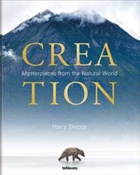 Creation - Harry Skeggs, teNeues
