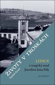 Životy v troskách - Vojtěch Kyncl