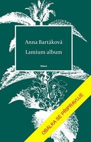 Lamium album - Bartáková Anna 1