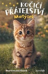 Kočičí přátelství Matýsek - Martina Boučková 1